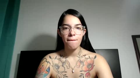 Snapshot of stella_art chatting on January 14, 2025, 10:55 pm Stella online show from January 14, 2025, 10:55 pm