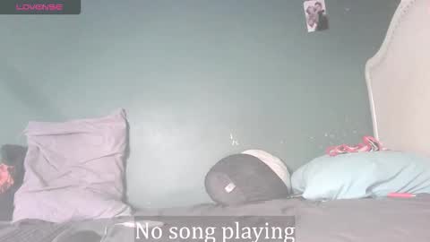 Stella Clitella online show from November 24, 2025, 9:09 am