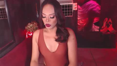 stella online show from February 23, 2026, 1:52 pm