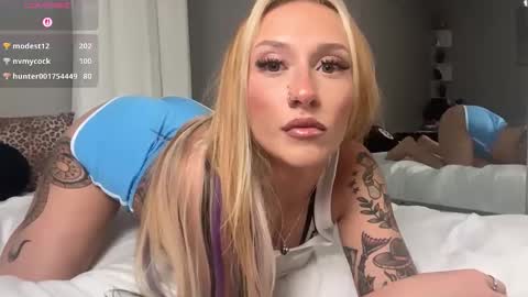 Snapshot of stellacorbet chatting on November 15, 2025, 3:15 am stellacorbet online show from November 15, 2025, 3:15 am