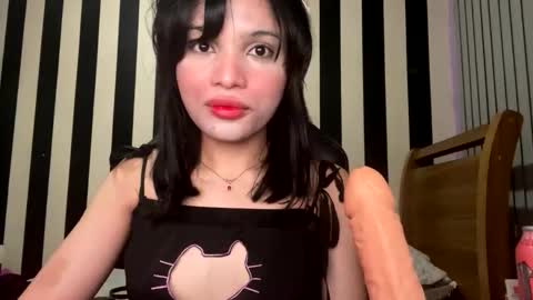 Snapshot of stellapapillon chatting on February 14, 2026, 1:02 am stellapapillon online show from February 14, 2026, 1:02 am