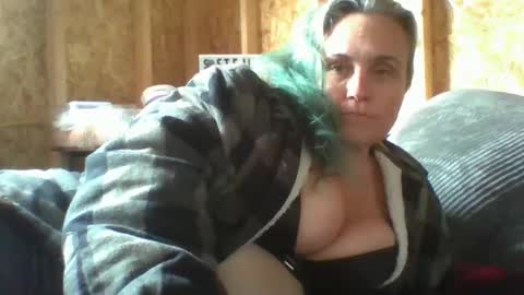 Stella online show from January 12, 2026, 8:03 pm