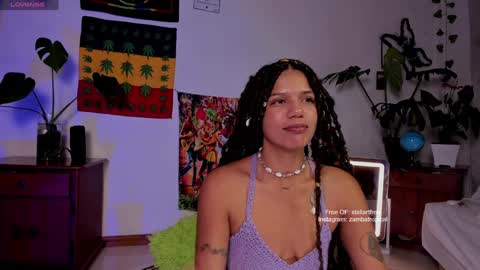 Snapshot of stellart_ chatting on January 17, 2025, 9:39 am stellart_ online show from January 17, 2025, 9:39 am