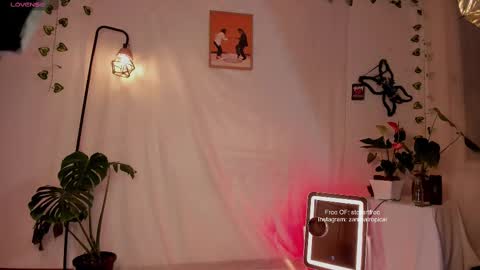 Snapshot of stellart_ chatting on February 14, 2025, 2:28 am stellart_ online show from February 14, 2025, 2:28 am