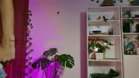 stellart_ online show from November 20, 2025, 3:50 am