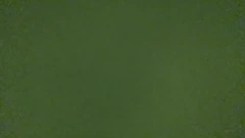 Snapshot of stensurfarn chatting on March 21, 2026, 11:15 am stensurfarn online show from March 21, 2026, 11:15 am