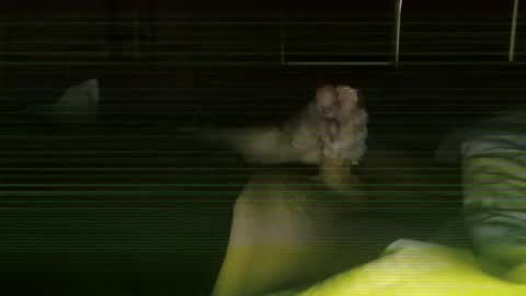 Snapshot of steve093066 chatting on February 27, 2026, 11:43 am Steve online show from February 27, 2026, 11:43 am