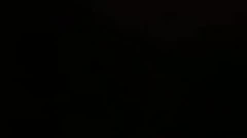 stevennsucculent online show from September 27, 2025, 5:51 pm