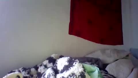 Snapshot of steviehard7 chatting on October 11, 2025, 7:23 pm steviehard7 online show from October 11, 2025, 7:23 pm