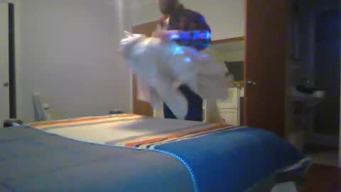 Chris4AllToWatch online show from January 14, 2026, 6:08 am