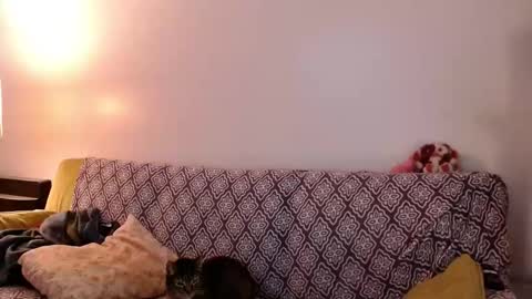 Strawberrylotsacake online show from November 24, 2025, 4:07 pm