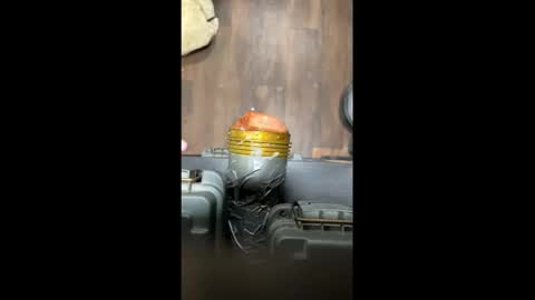 strokeafterdark online show from November 13, 2025, 1:59 am