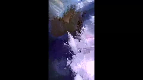 stuffamuffagus69 online show from May 17, 2026, 9:33 pm