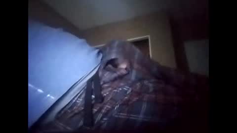 suavecito123828379 online show from January 17, 2026, 8:45 pm