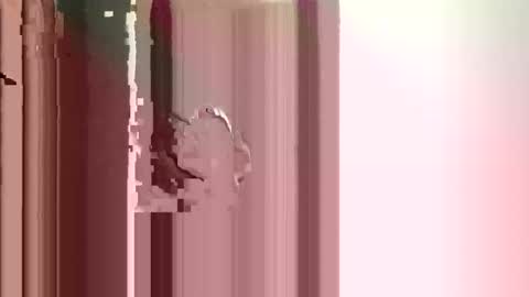 JJ online show from December 17, 2025, 2:56 pm