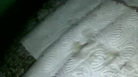 Snapshot of suesser0009 chatting on February 18, 2025, 9:53 pm Martin sweetboy online show from February 18, 2025, 9:53 pm