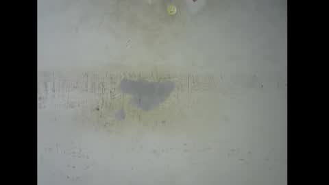 Snapshot of sugarmeltsxx chatting on November 9, 2025, 5:44 pm Bella online show from November 9, 2025, 5:44 pm