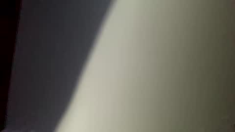 Snapshot of sulyrouse chatting on December 10, 2024, 4:56 am suly online show from December 10, 2024, 4:56 am