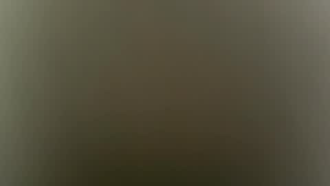 Snapshot of sulyrouse chatting on February 4, 2026, 5:02 am suly online show from February 4, 2026, 5:02 am