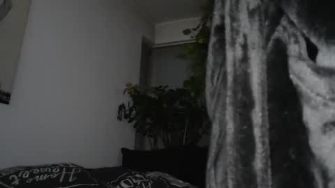 Snapshot of sundicksun chatting on December 17, 2024, 7:59 pm s online show from December 17, 2024, 7:59 pm