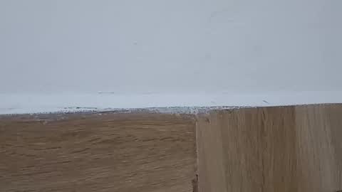 Annie online show from October 6, 2025, 5:32 pm