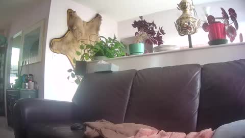 Snapshot of suv1 chatting on October 7, 2025, 9:56 pm Otto online show from October 7, 2025, 9:56 pm