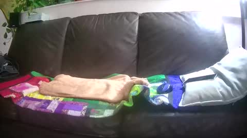 Snapshot of suv1 chatting on October 26, 2025, 4:29 am Otto online show from October 26, 2025, 4:29 am