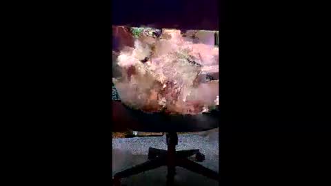 svald0 online show from June 5, 2026, 12:44 pm