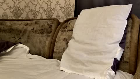 Snapshot of sweet6boy9 chatting on September 23, 2025, 11:41 pm Sweet boy online show from September 23, 2025, 11:41 pm