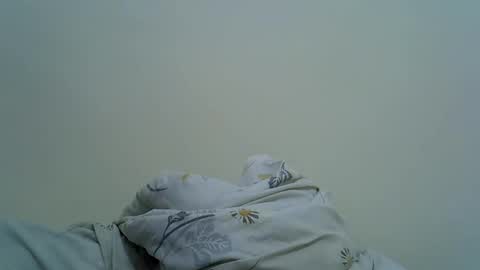 Alice online show from May 25, 2026, 9:04 am