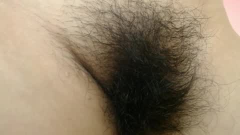 Barbara online show from March 31, 2026, 12:56 am