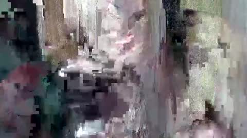 sweet_chel online show from May 9, 2026, 2:39 am