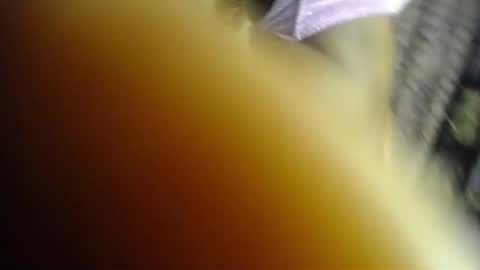 Kush online show from June 22, 2026, 5:15 am