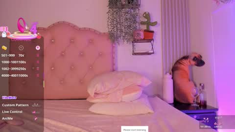 Nicol online show from December 22, 2025, 5:59 am