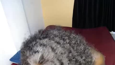 Snapshot of sweet_sherie chatting on September 30, 2025, 12:04 am ellanah Tracie online show from September 30, 2025, 12:04 am