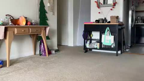 Heidi Brenner - Please check bio for schedule  FAQ online show from December 14, 2025, 2:33 pm