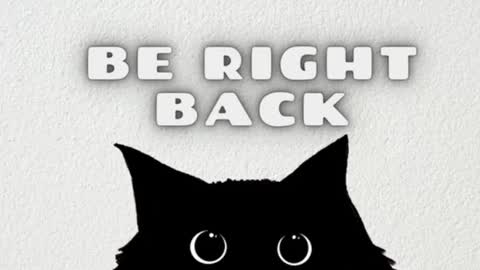       Independent model online show from December 25, 2024, 7:35 am