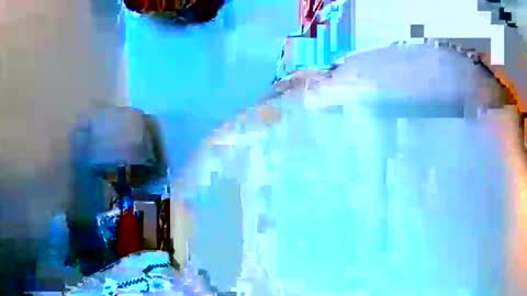 sweetnpetitejennij online show from June 1, 2026, 5:53 am