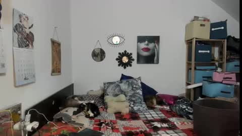 switchlorenx online show from February 13, 2026, 11:45 pm