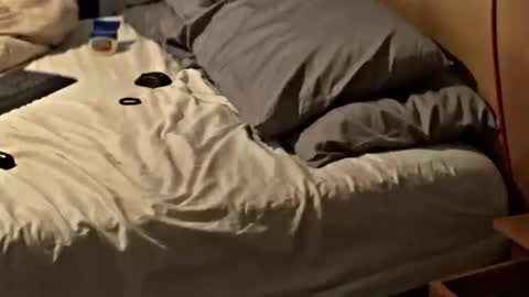 SissyDenver online show from November 25, 2025, 8:25 am