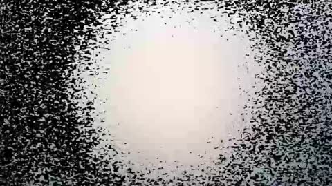 subfordomme online show from March 28, 2026, 9:25 pm