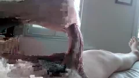 Snapshot of tactful1 chatting on April 3, 2026, 5:11 pm Tactful1 online show from April 3, 2026, 5:11 pm