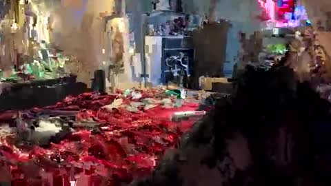 tailorfitted online show from October 16, 2025, 10:38 am