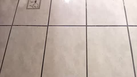 tall6feet7inch online show from October 1, 2025, 9:04 am