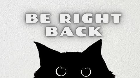 Rousaly online show from January 15, 2026, 11:15 am