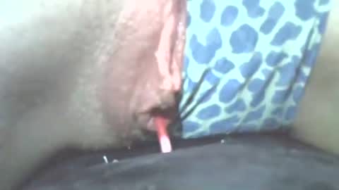 tamesbury online show from November 2, 2025, 2:25 am