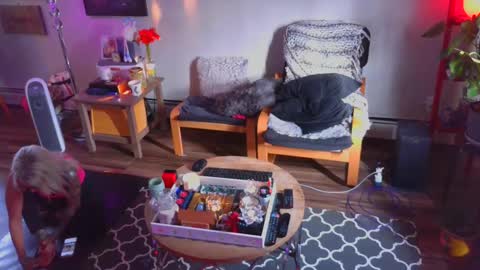 tatsandcock6699 online show from September 15, 2025, 4:18 pm