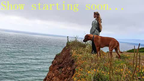 Snapshot of tatum__kahlo chatting on February 2, 2025, 11:21 pm TATUM  ALL MY LINKS  online show from February 2, 2025, 11:21 pm