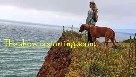 TATUM  ALL MY LINKS  online show from February 11, 2026, 2:49 am