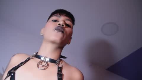 Taylor online show from November 5, 2025, 8:09 pm